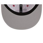 Cincinnati Reds Deceptor Pinstripe 9FIFTY Snapback Hat