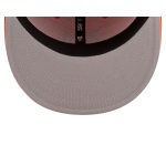 Anaheim Ducks Basic 59FIFTY Fitted Hat