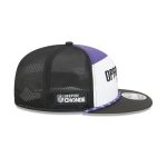 Baltimore Ravens 2025 Inspire Change Split Panel 9FIFTY Snapback Hat