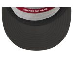 Arizona Cardinals 2025 Inspire Change Split Panel 9FIFTY Snapback Hat