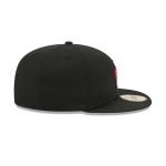 Toronto Raptors 1995-2007 Hardwood Classics 59FIFTY Fitted Hat