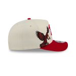 Atlanta Hawks 1972-1995 Hardwood Classics Chrome White 9FIFTY A-Frame Snapback Hat