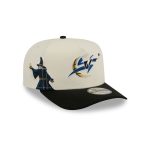Washington Wizards 2007-2011 Hardwood Classics Chrome White 9FIFTY A-Frame Snapback Hat