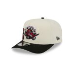Toronto Raptors 1995-2007 Hardwood Classics Chrome White 9FIFTY A-Frame Snapback Hat