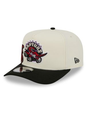 Toronto Raptors 1995-2007 Hardwood Classics Chrome White 9FIFTY A-Frame Snapback Hat
