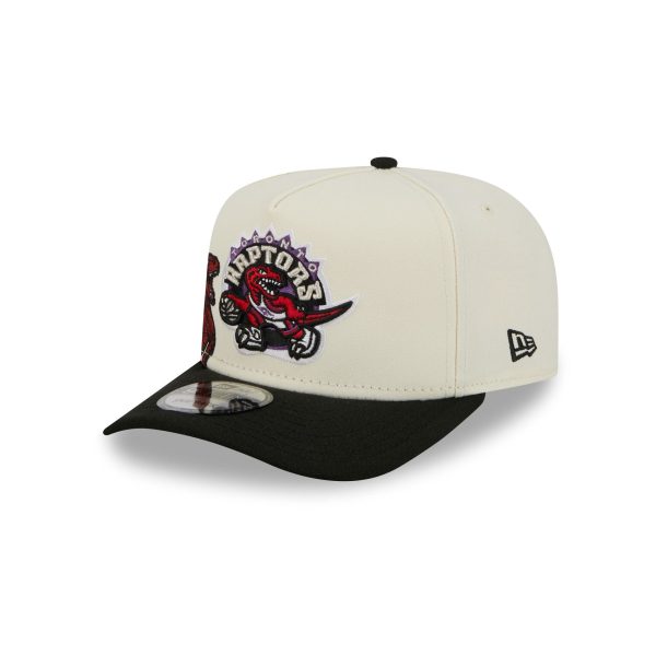 Toronto Raptors 1995-2007 Hardwood Classics Chrome White 9FIFTY A-Frame Snapback Hat