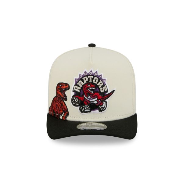 Toronto Raptors 1995-2007 Hardwood Classics Chrome White 9FIFTY A-Frame Snapback Hat