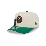 Boston Celtics 1968-1977 Hardwood Classics Chrome White 9FIFTY A-Frame Snapback Hat