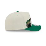 Boston Celtics 1968-1977 Hardwood Classics Chrome White 9FIFTY A-Frame Snapback Hat
