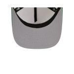 Boston Celtics 1968-1977 Hardwood Classics Chrome White 9FIFTY A-Frame Snapback Hat