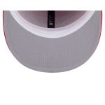 Atlanta Hawks 1998-2007 Hardwood Classics 9FIFTY Snapback Hat