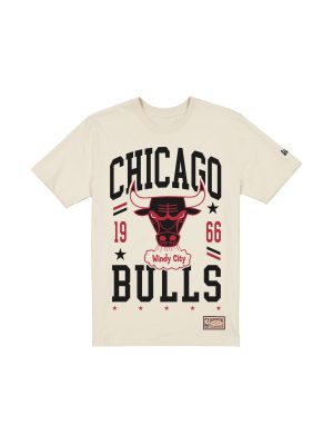 Chicago Bulls 1960-1970 Hardwood Classics Chrome White T-Shirt