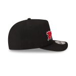 Born x Raised x Tampa Bay Buccaneers Script Black 9FIFTY A-Frame Snapback Hat
